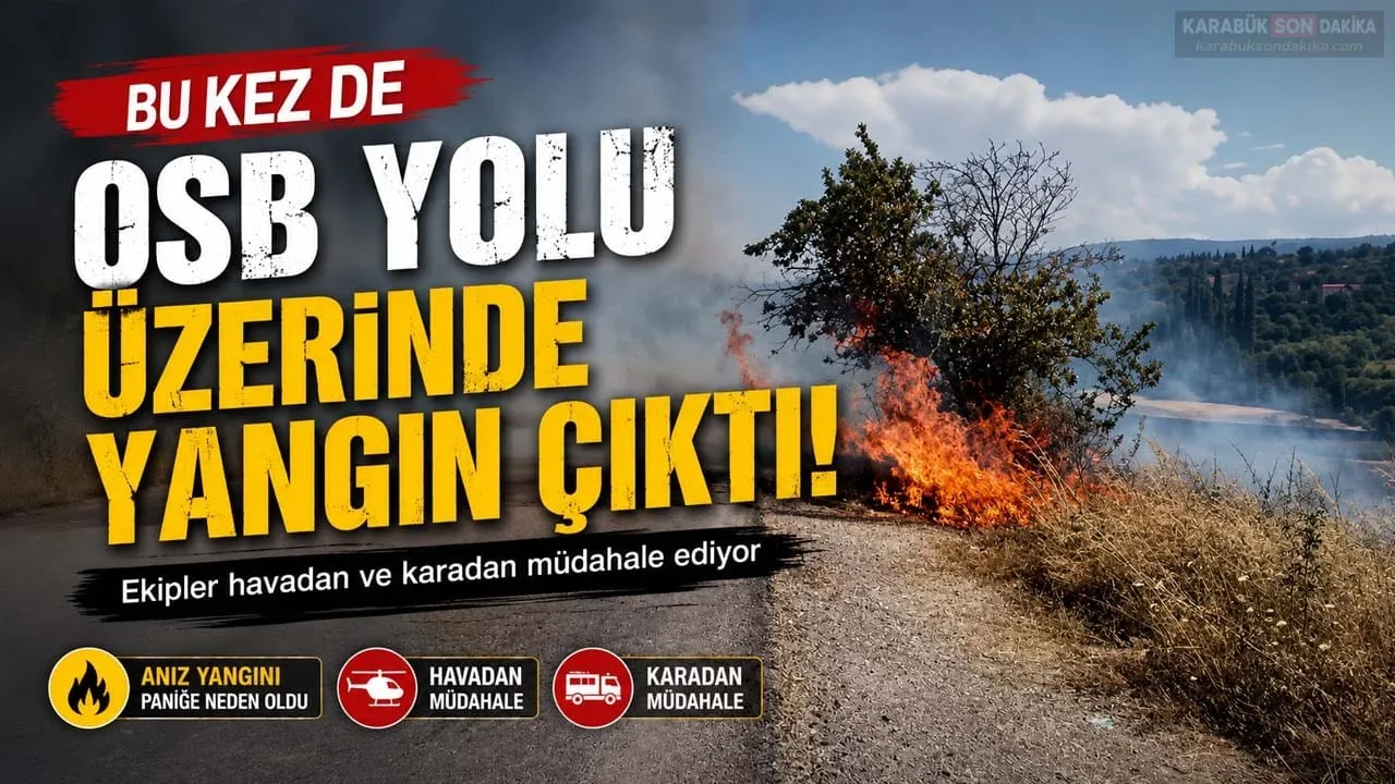 KARABÜK’TE PEŞ PEŞE YANGINLAR! BU KEZ ALEVLER OSB YOLUNDA YÜKSELDİ