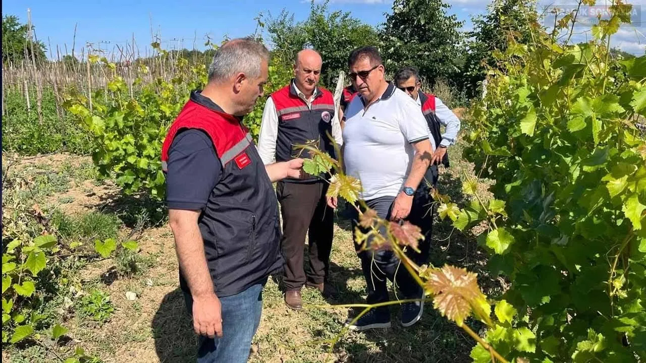 SAFRANBOLU’DA TARIM SAHADA KONUŞULDU! ÜRETİCİLERLE BİREBİR GÖRÜŞME